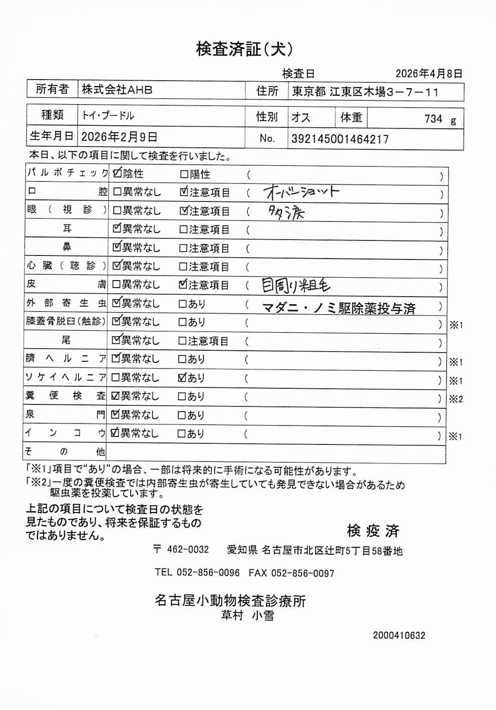 トイ・プードル