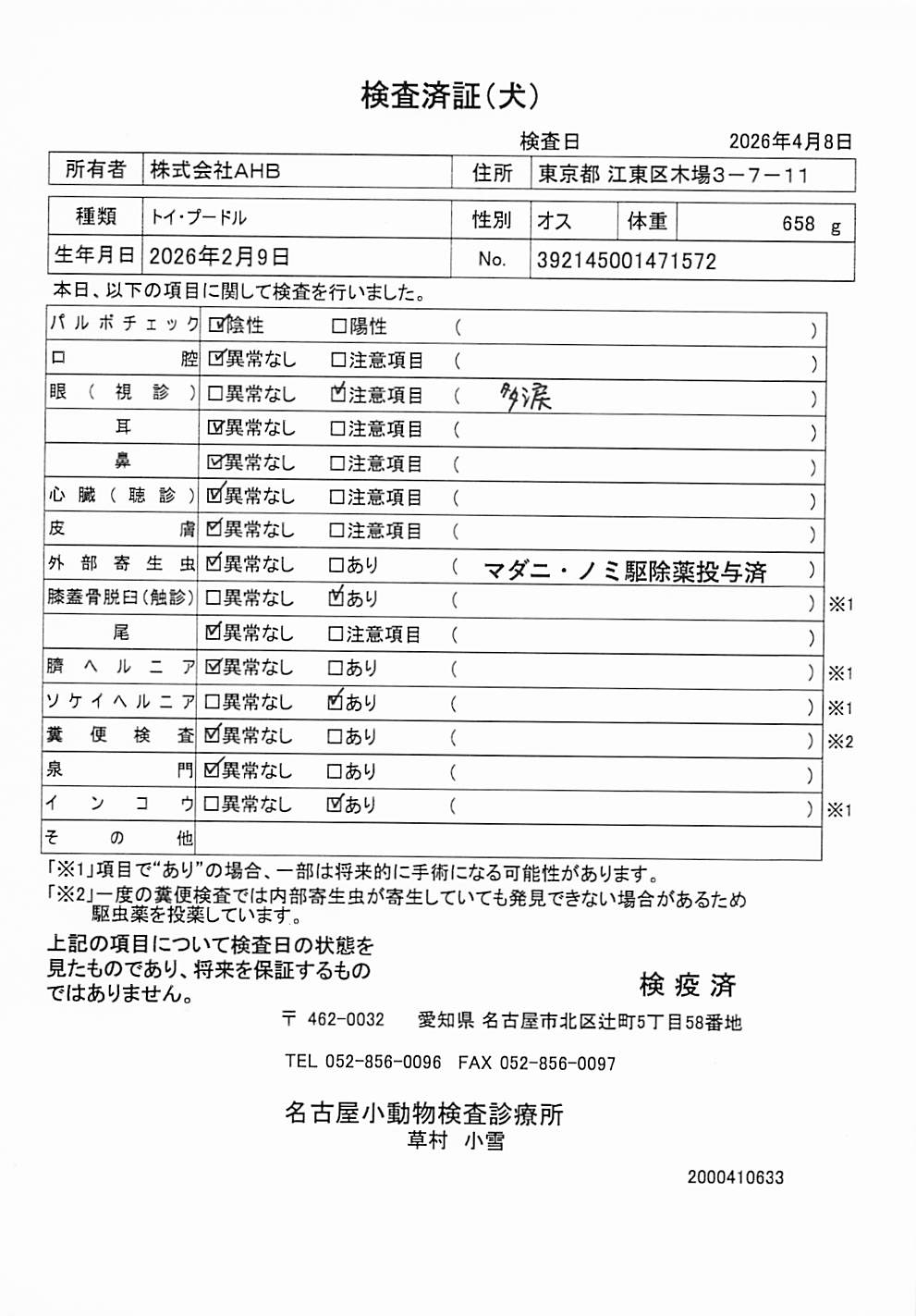 トイ・プードル