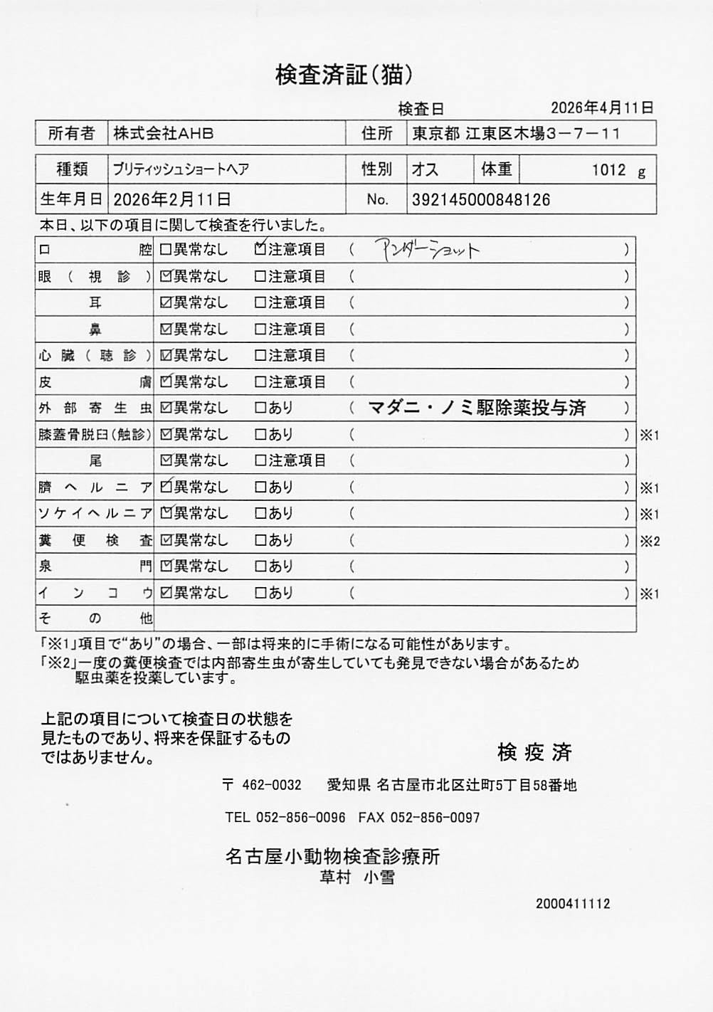 ブリティッシュショートヘア