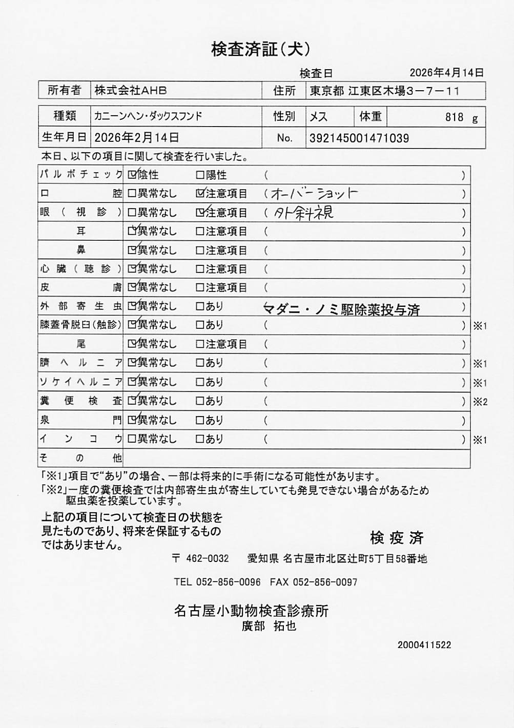 カニーンヘン・ダックスフンド