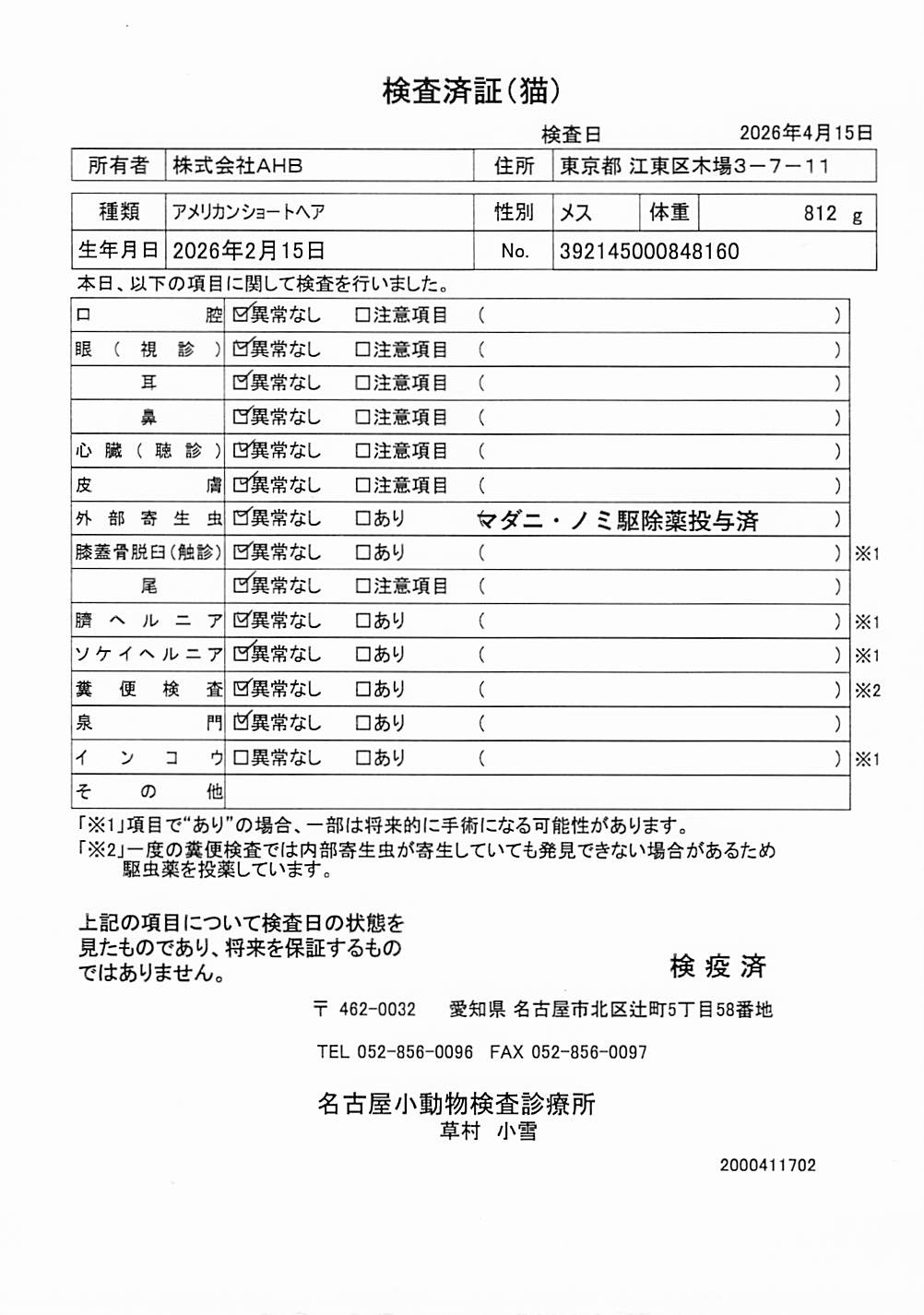 アメリカンショートヘア