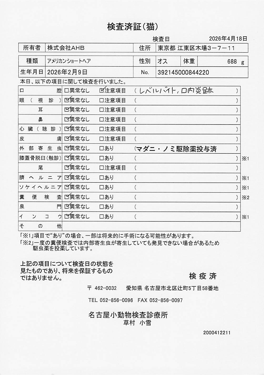 アメリカンショートヘア