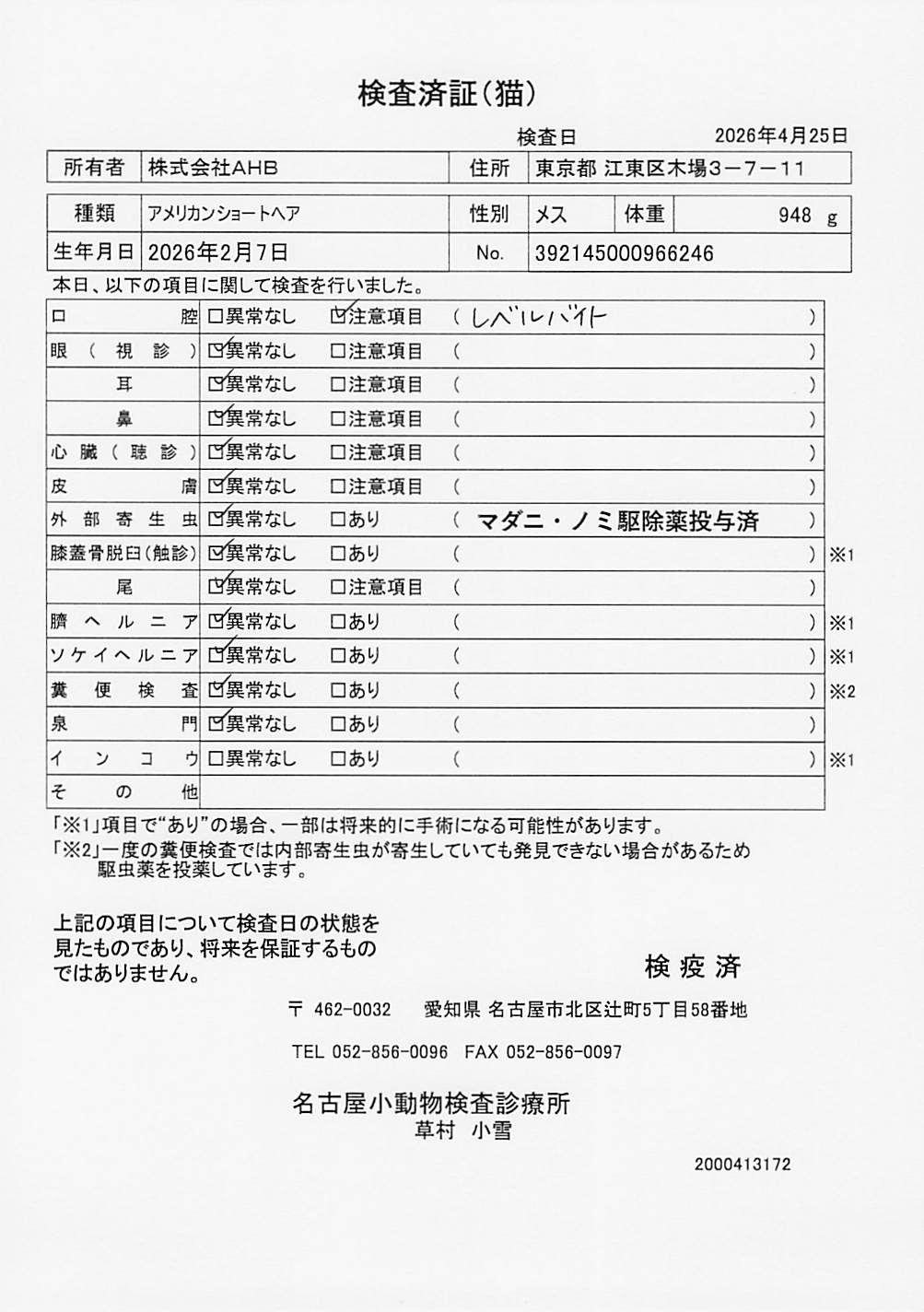 アメリカンショートヘア