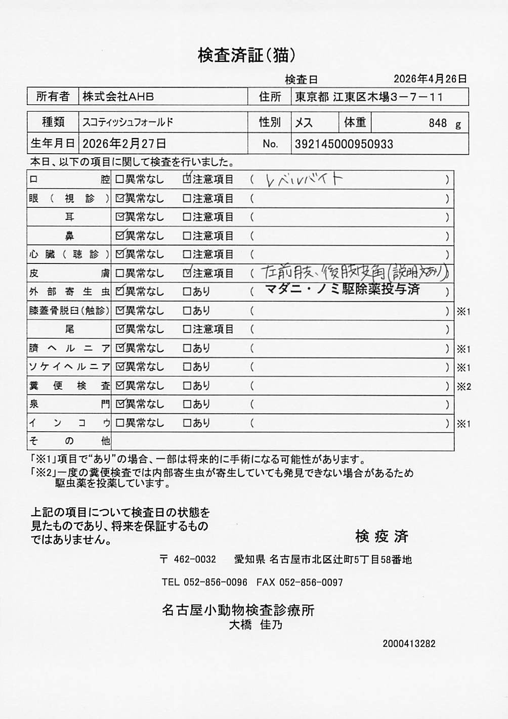 スコティッシュフォールド