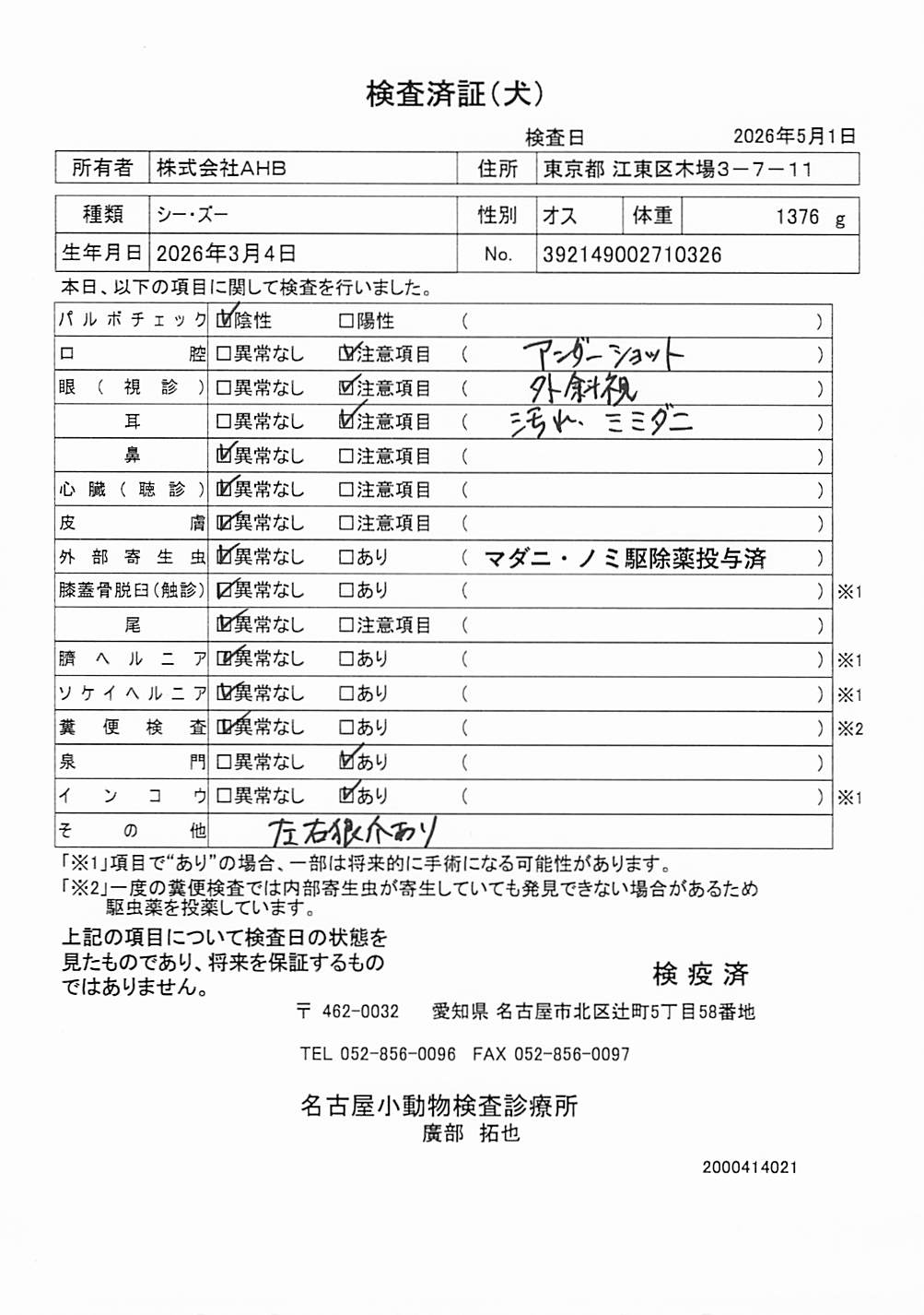シー・ズー