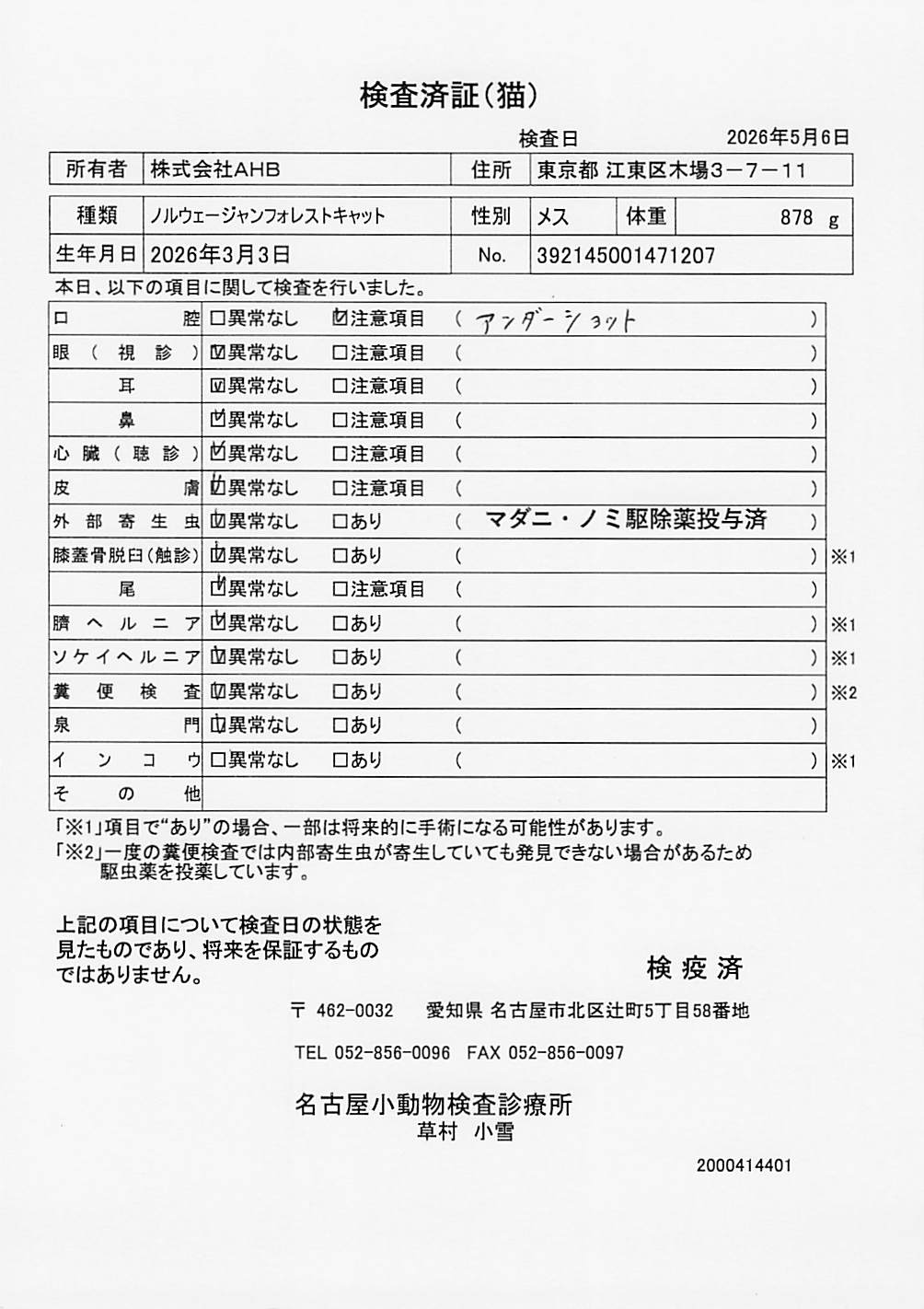ノルウェージャンフォレストキャット