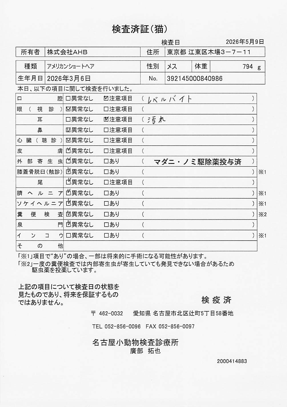 アメリカンショートヘア
