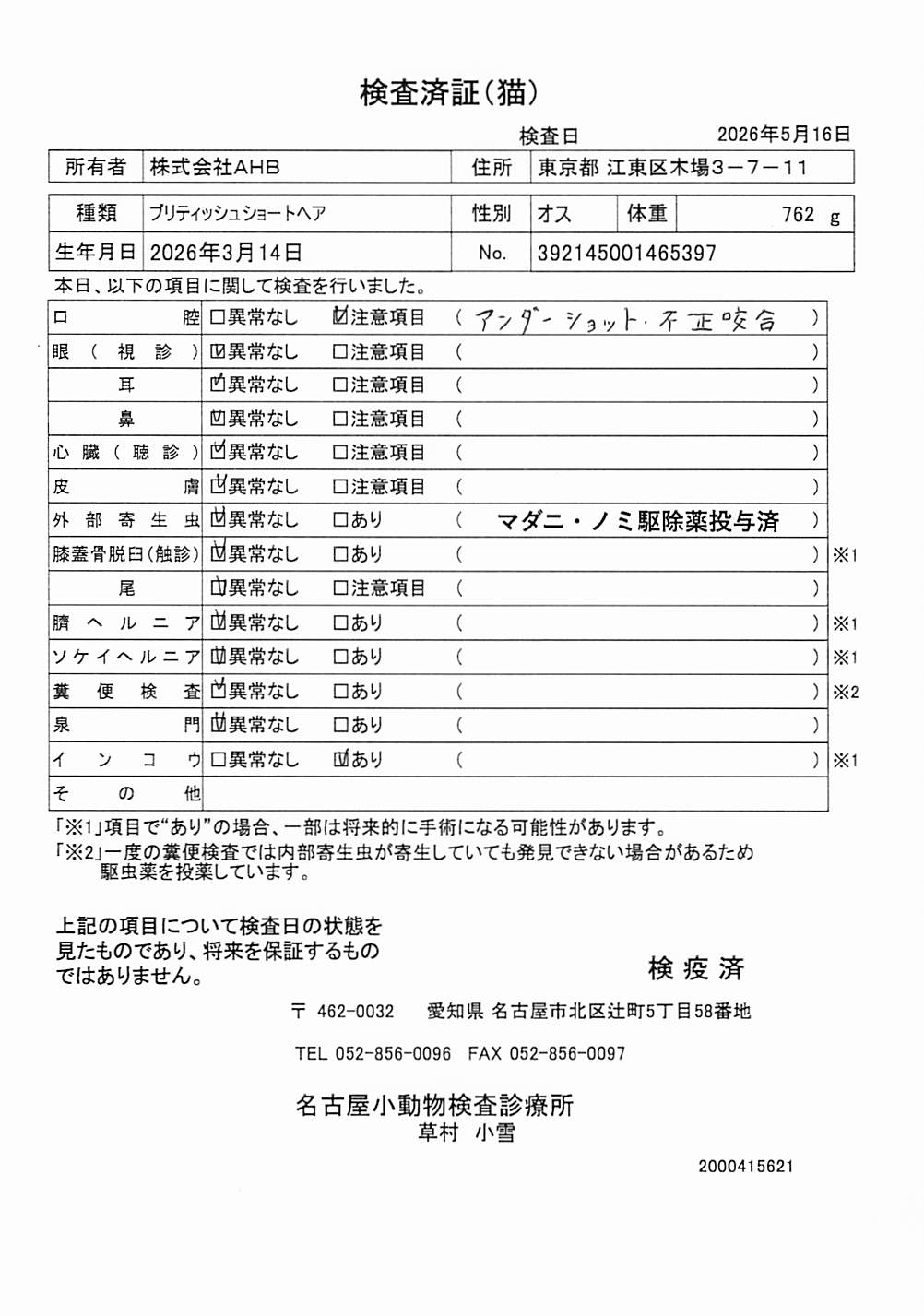 ブリティッシュショートヘア