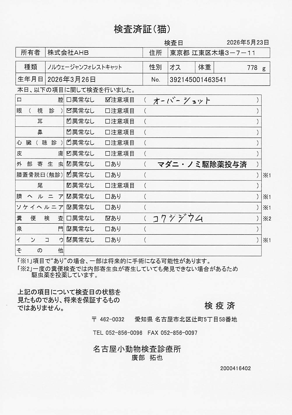 ノルウェージャンフォレストキャット