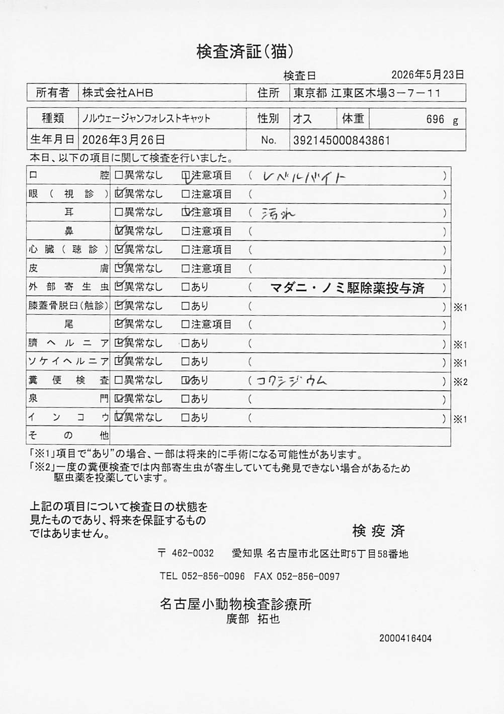 ノルウェージャンフォレストキャット