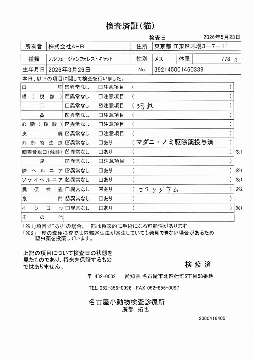 ノルウェージャンフォレストキャット