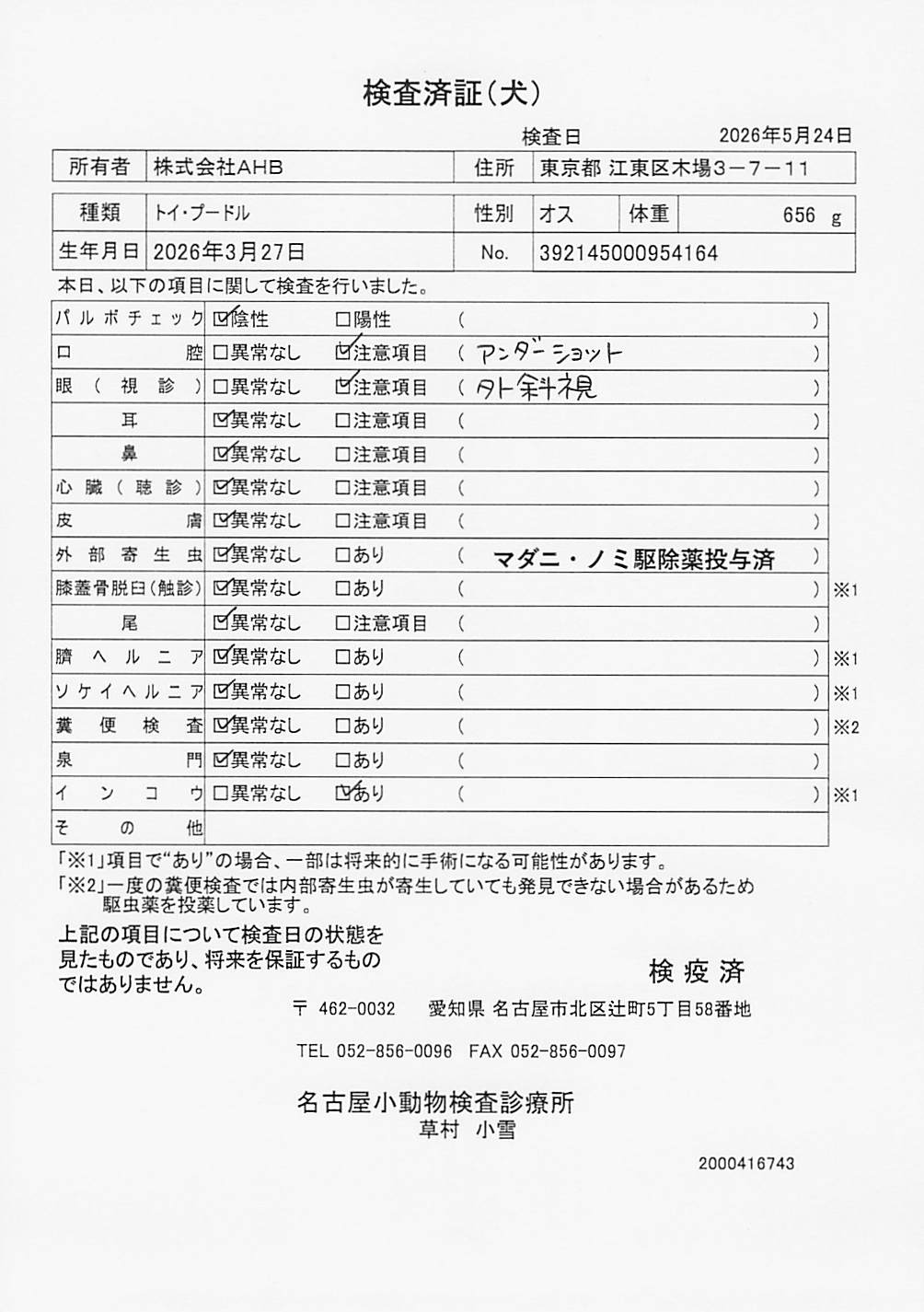 トイ・プードル