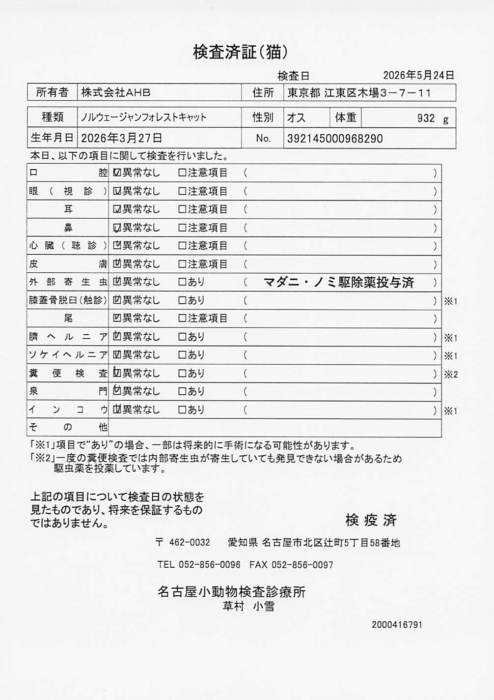 ノルウェージャンフォレストキャット
