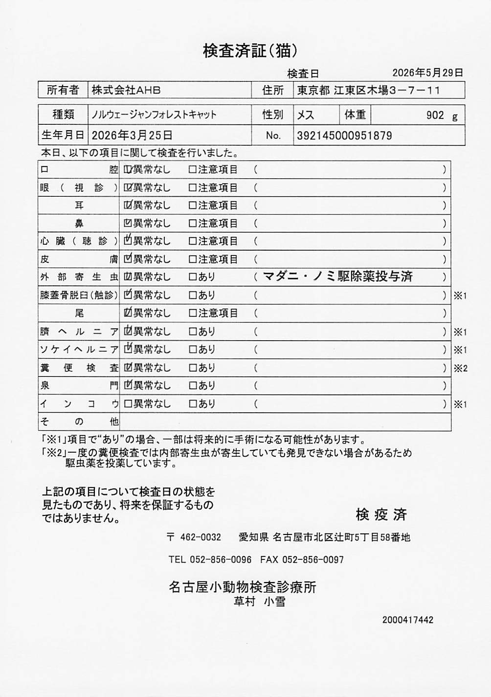 ノルウェージャンフォレストキャット