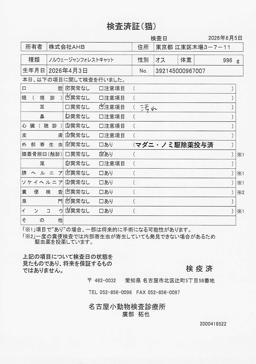 ノルウェージャンフォレストキャット