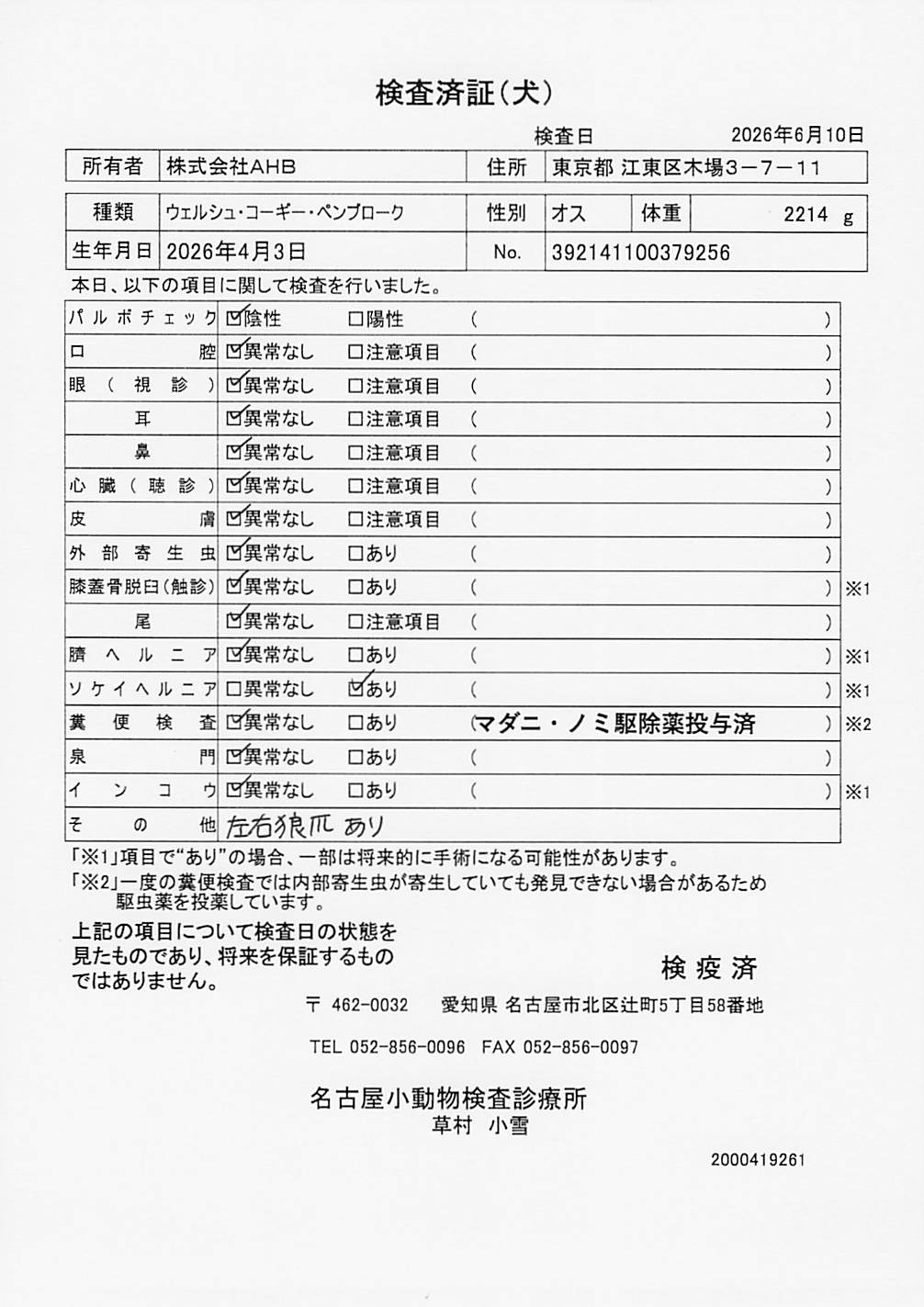 ウェルシュ・コーギー・ペンブローク