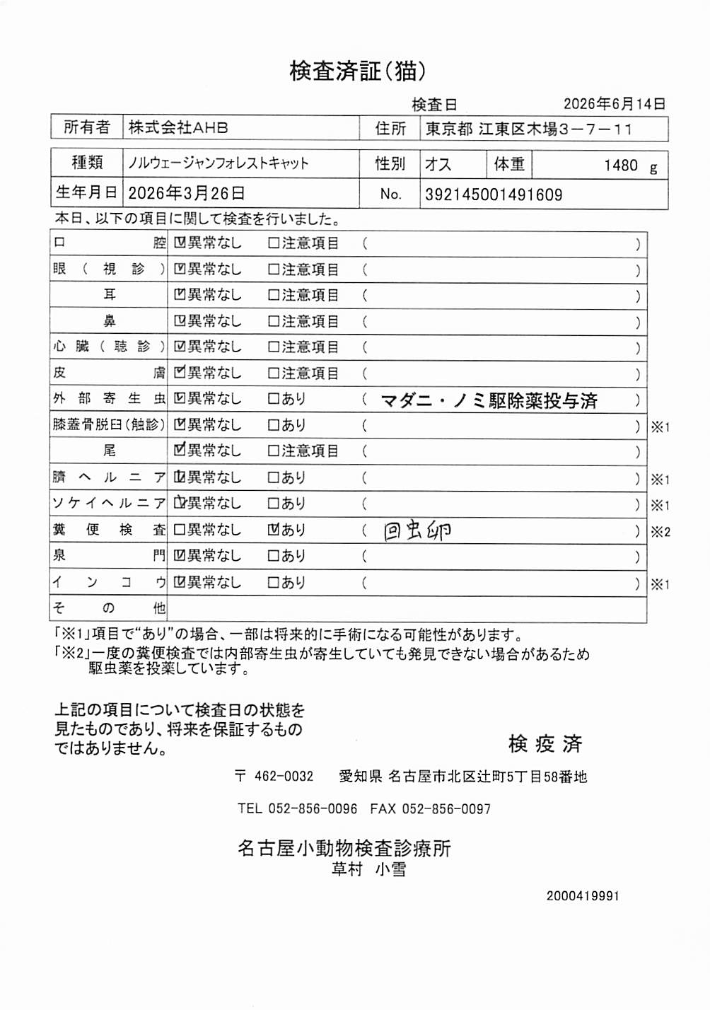 ノルウェージャンフォレストキャット
