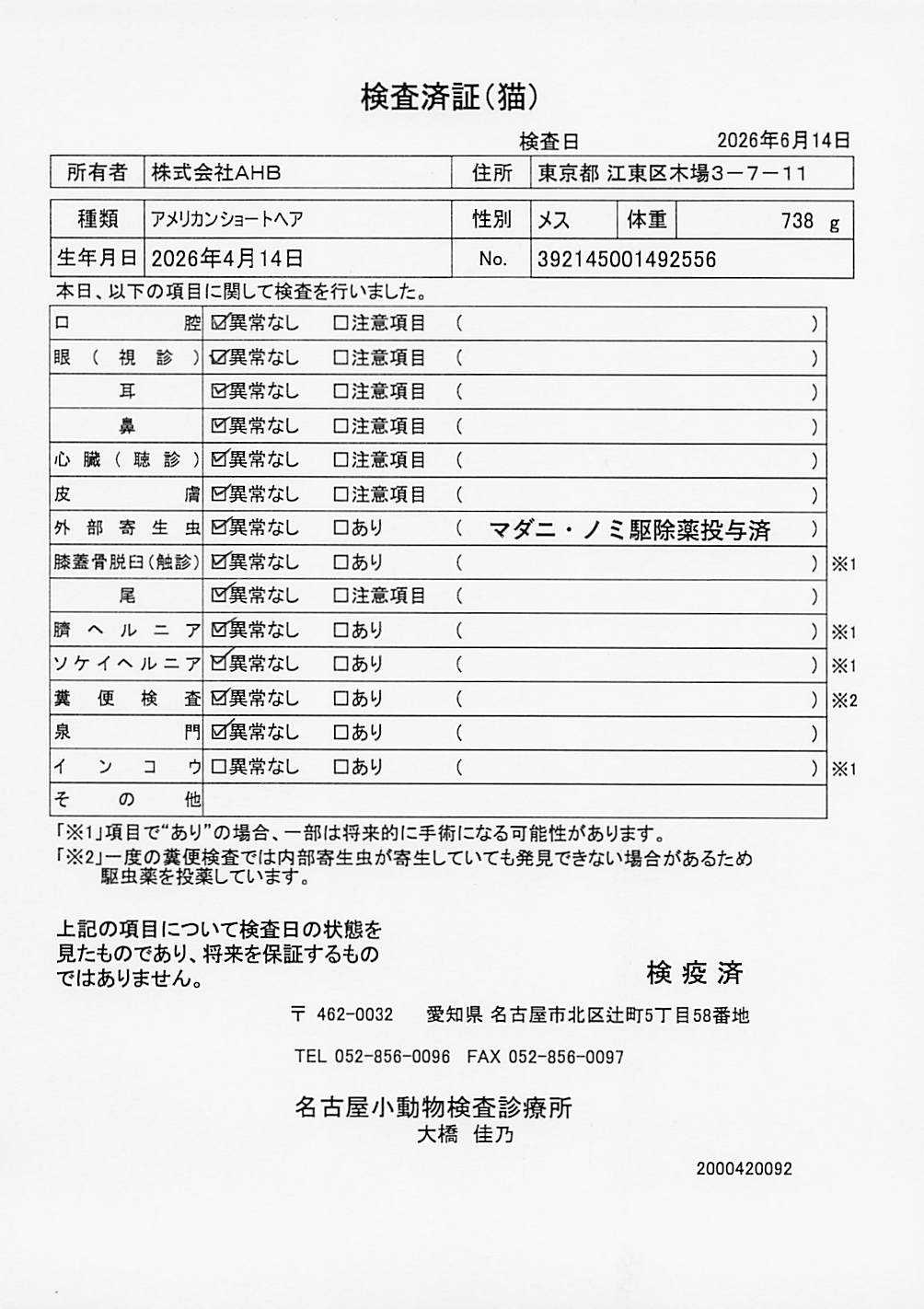 アメリカンショートヘア