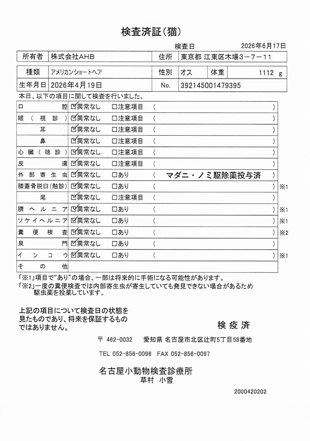 アメリカンショートヘア
