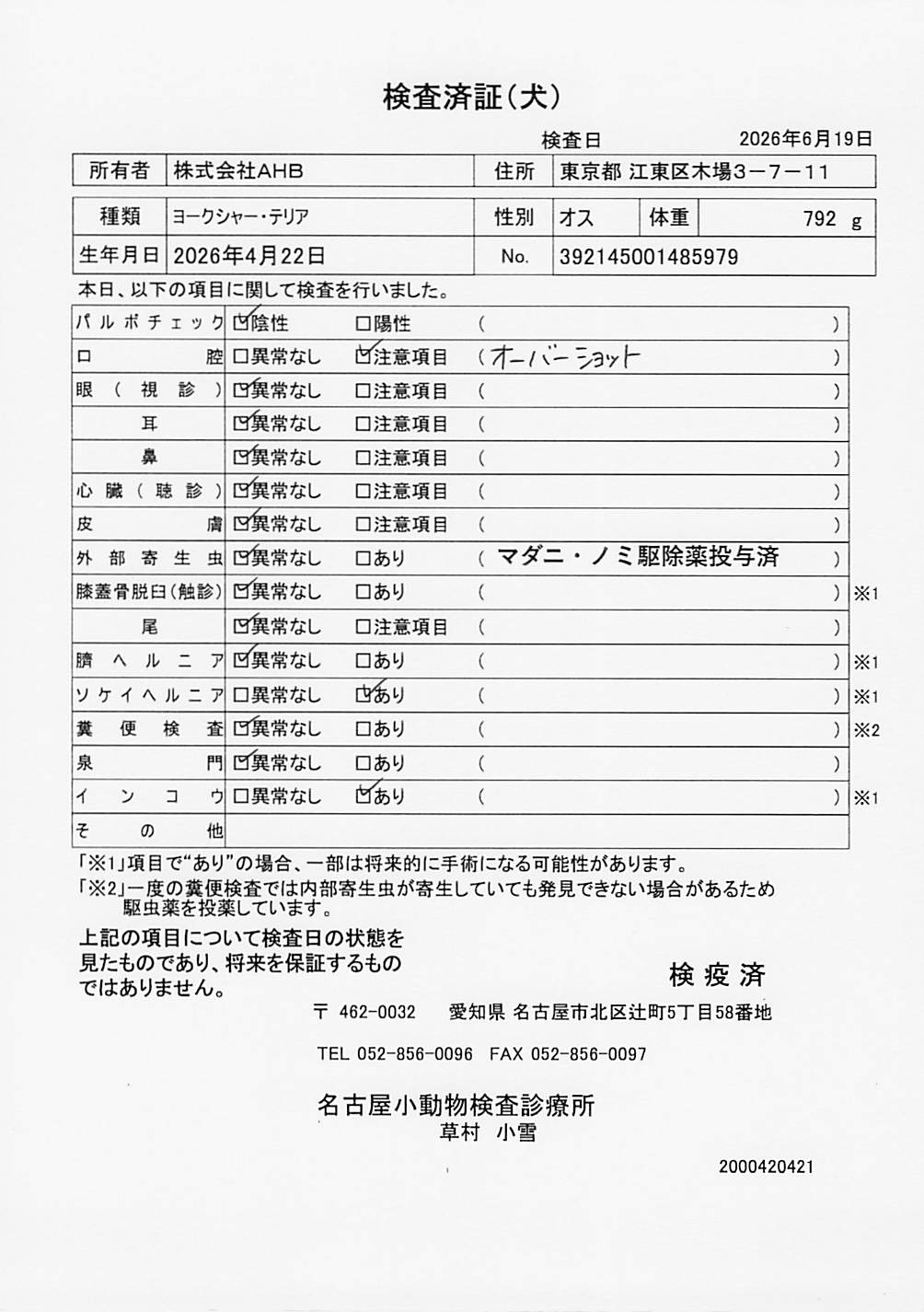 ヨークシャー・テリア