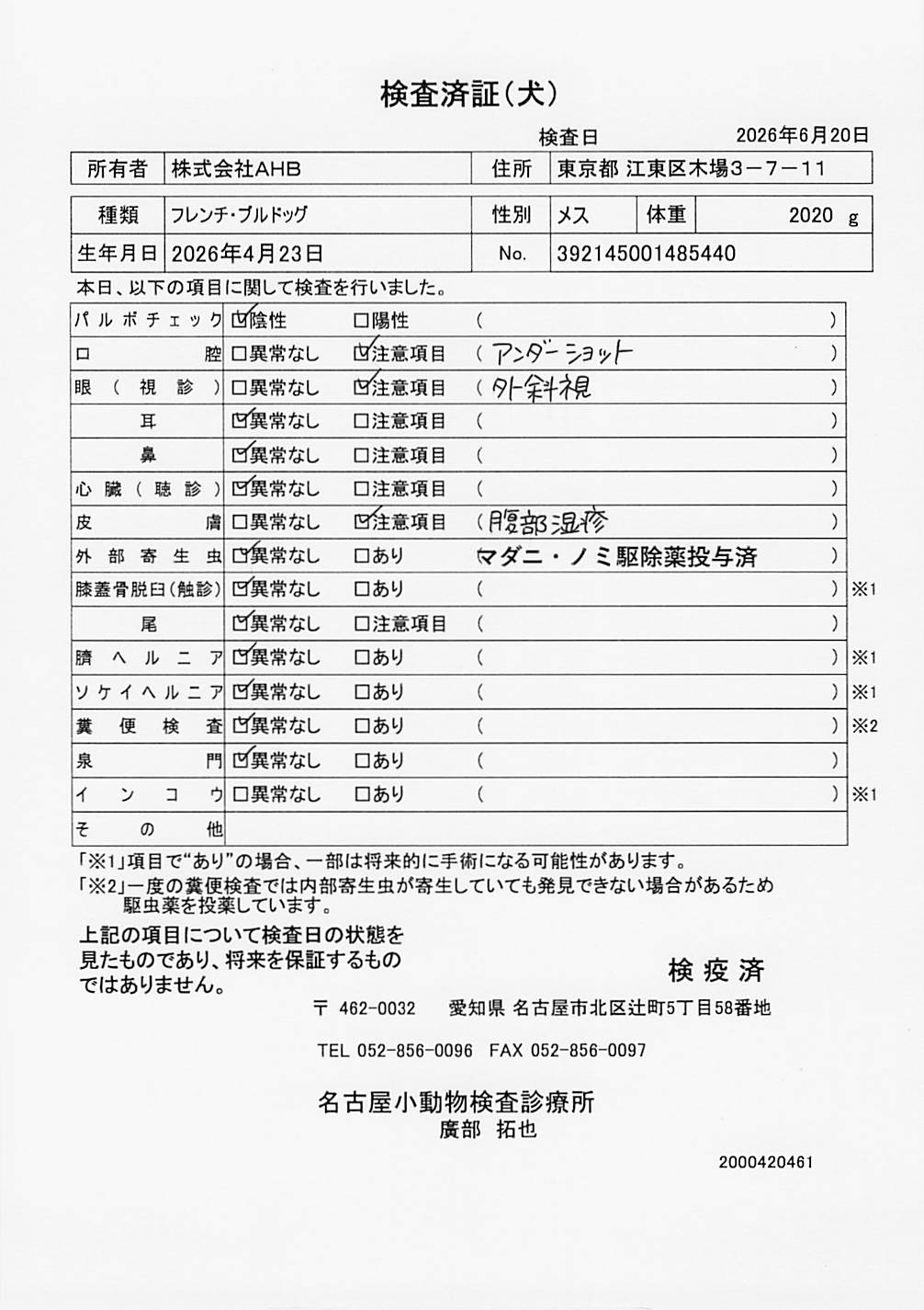 フレンチ・ブルドッグ