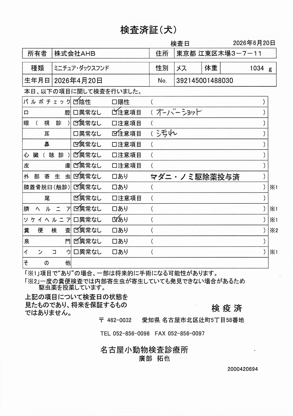 ミニチュア・ダックスフンド