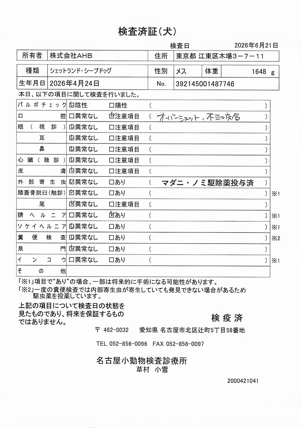 シェットランド・シープドッグ