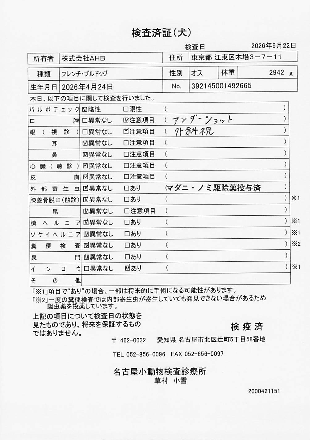 フレンチ・ブルドッグ