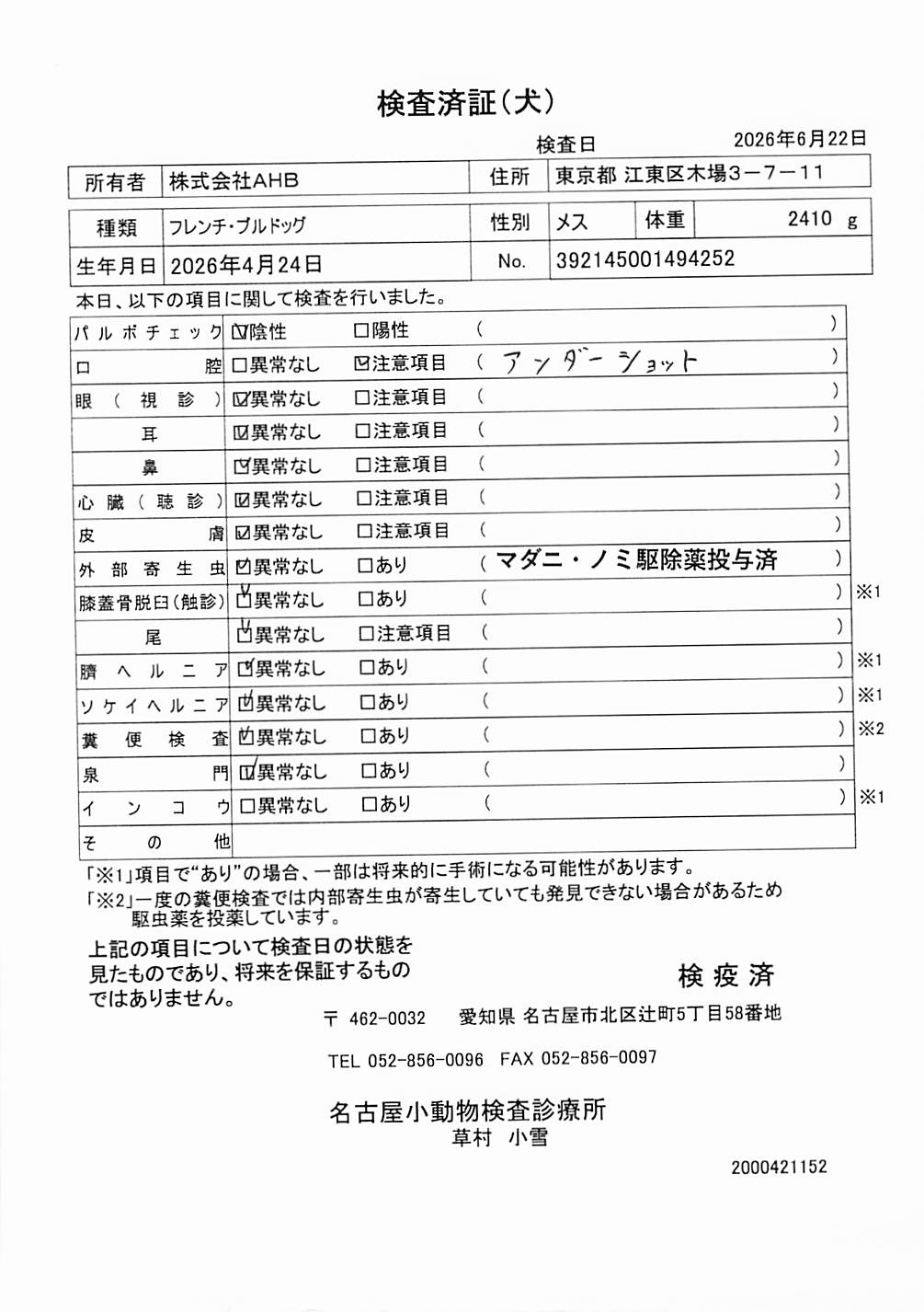 フレンチ・ブルドッグ