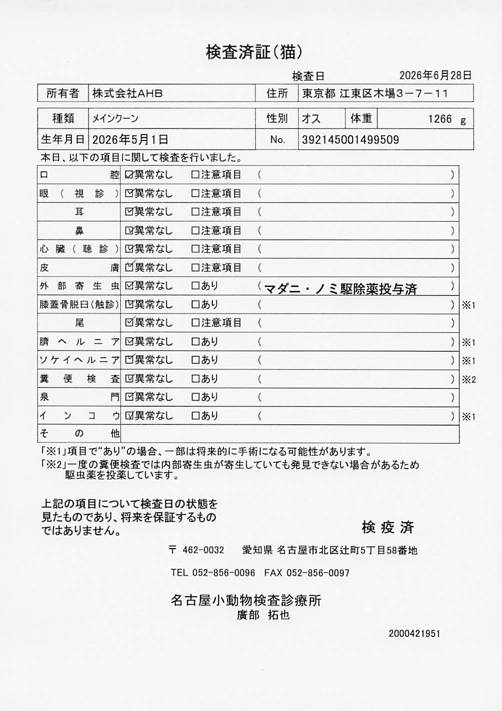 メインクーン