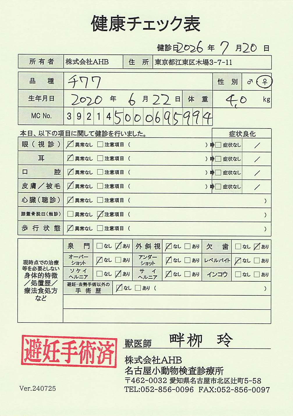 チワワ