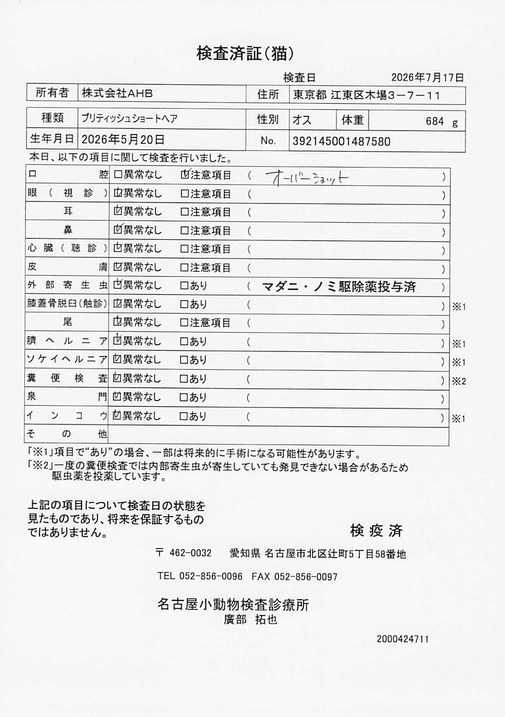 ブリティッシュショートヘア