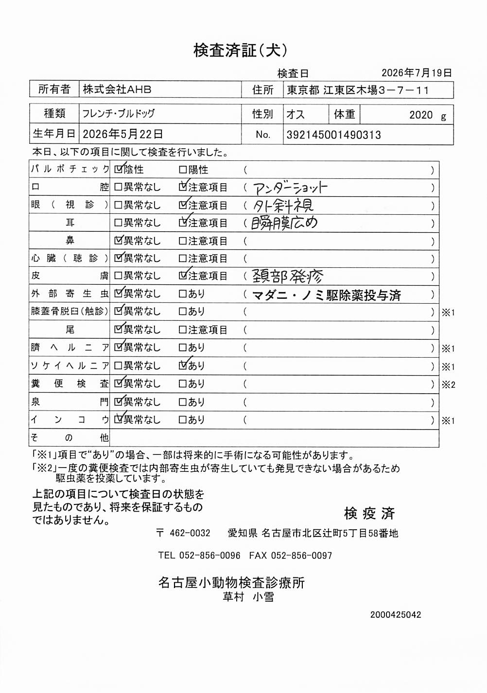 フレンチ・ブルドッグ