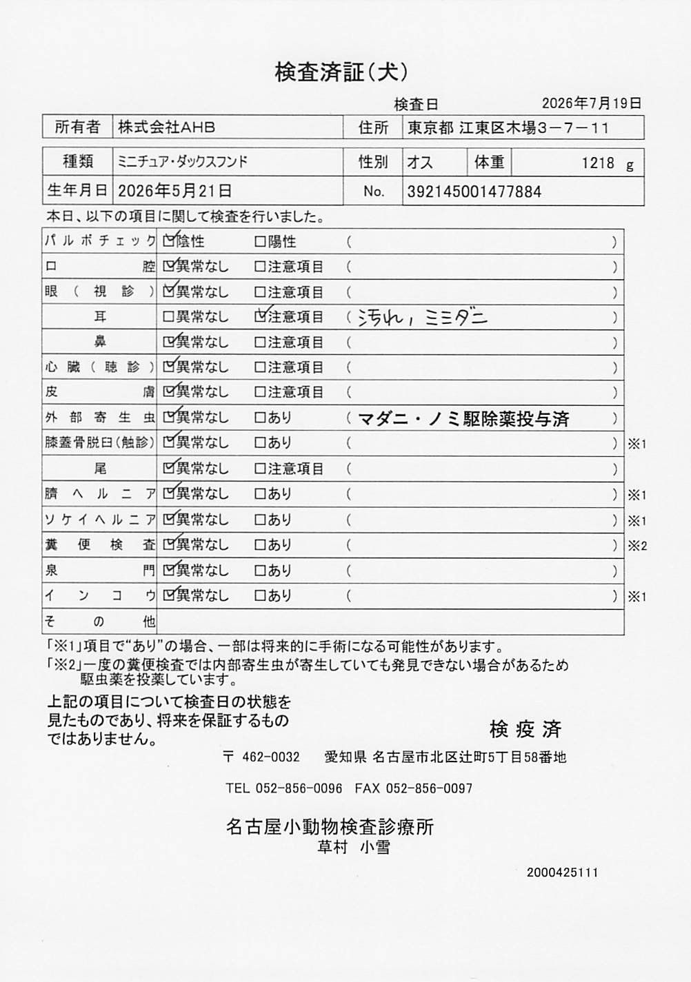 ミニチュア・ダックスフンド