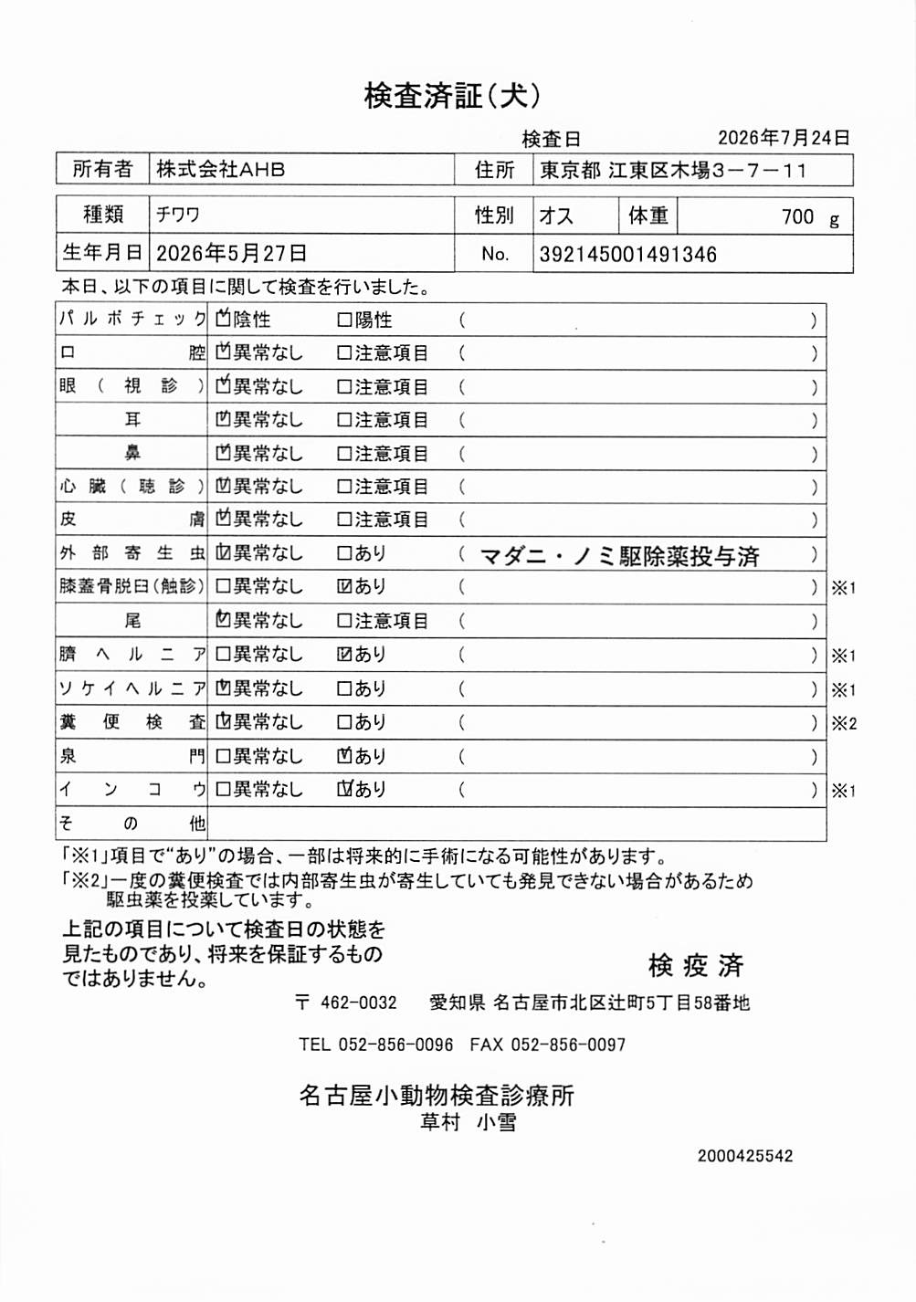 チワワ