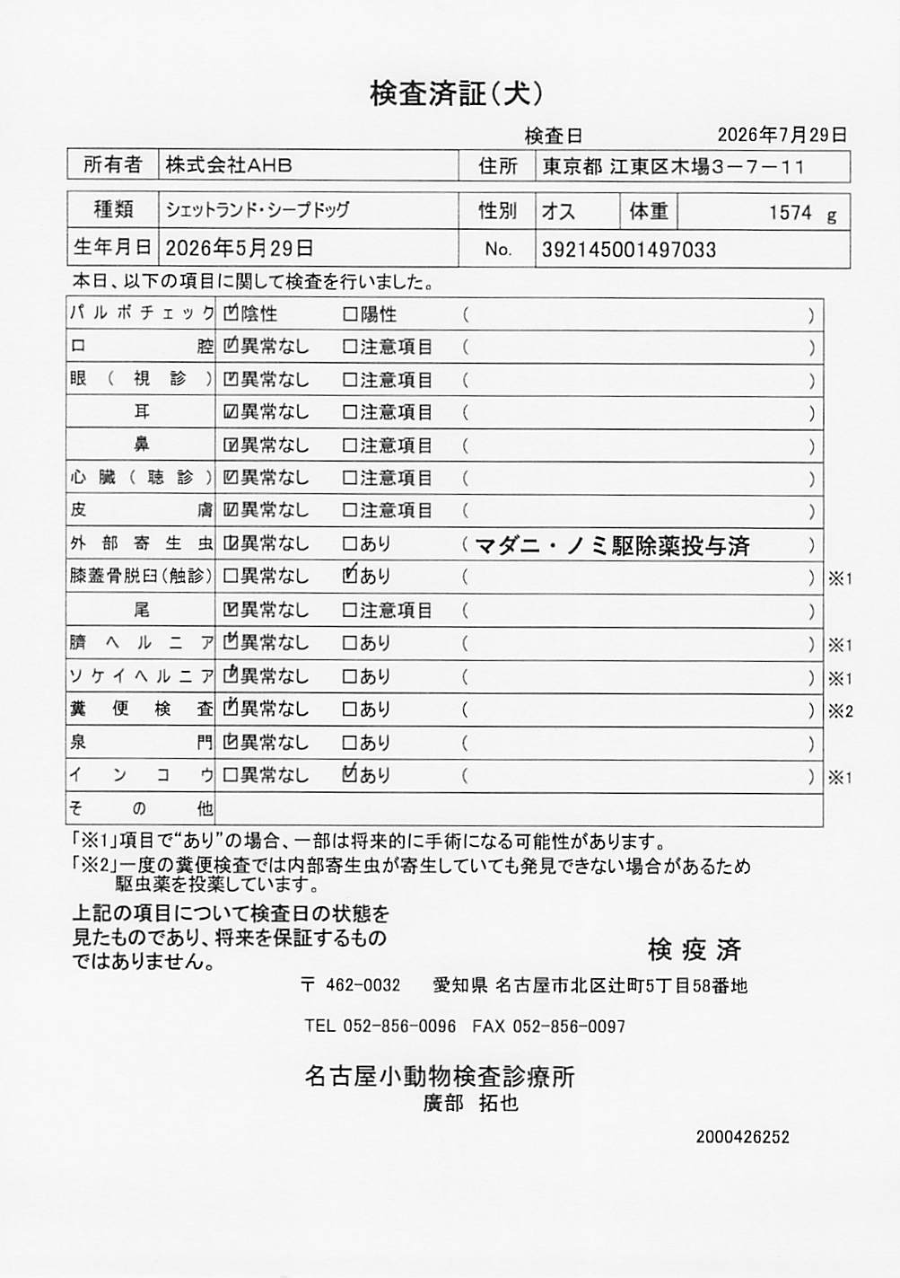 シェットランド・シープドッグ