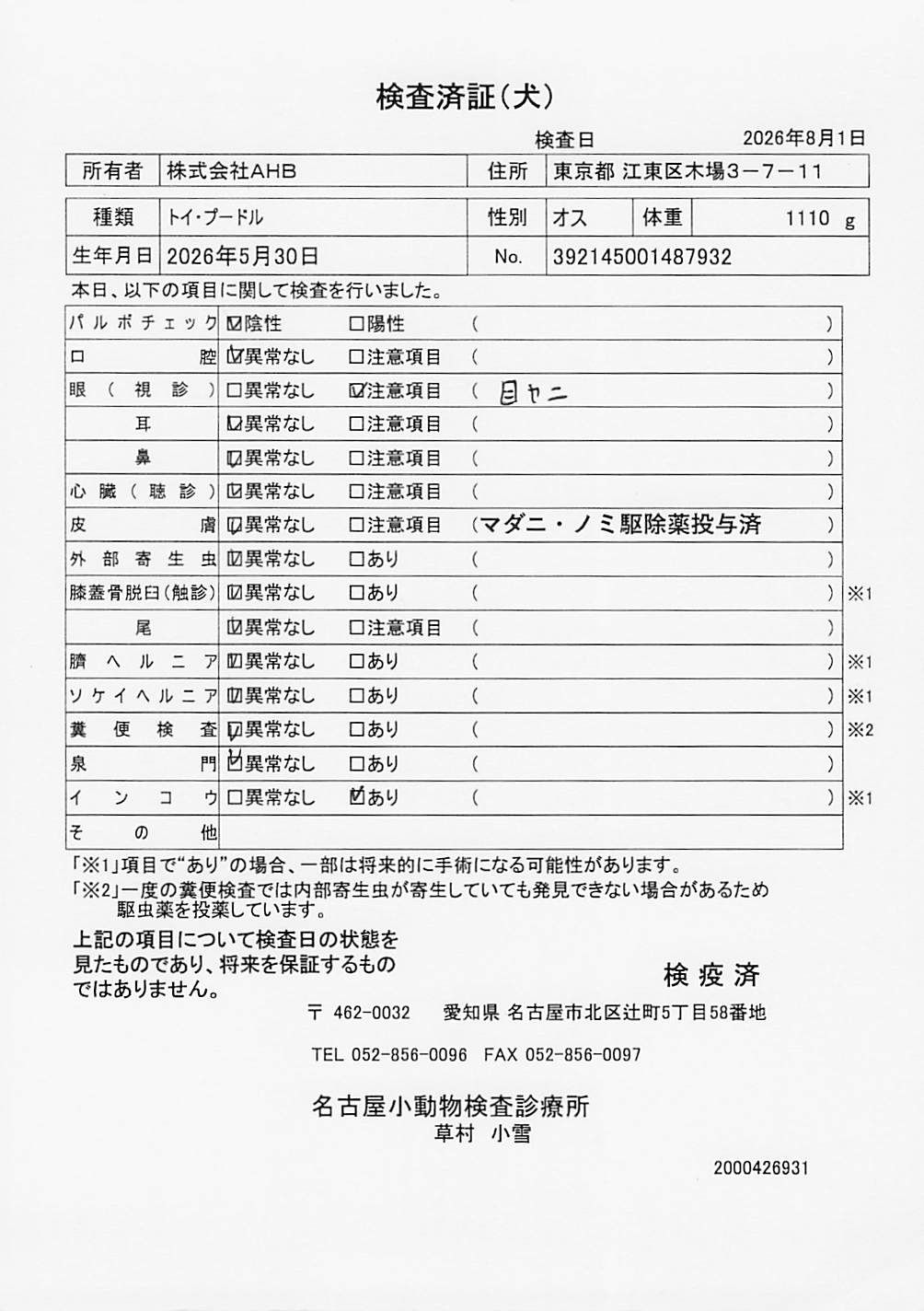 トイ・プードル