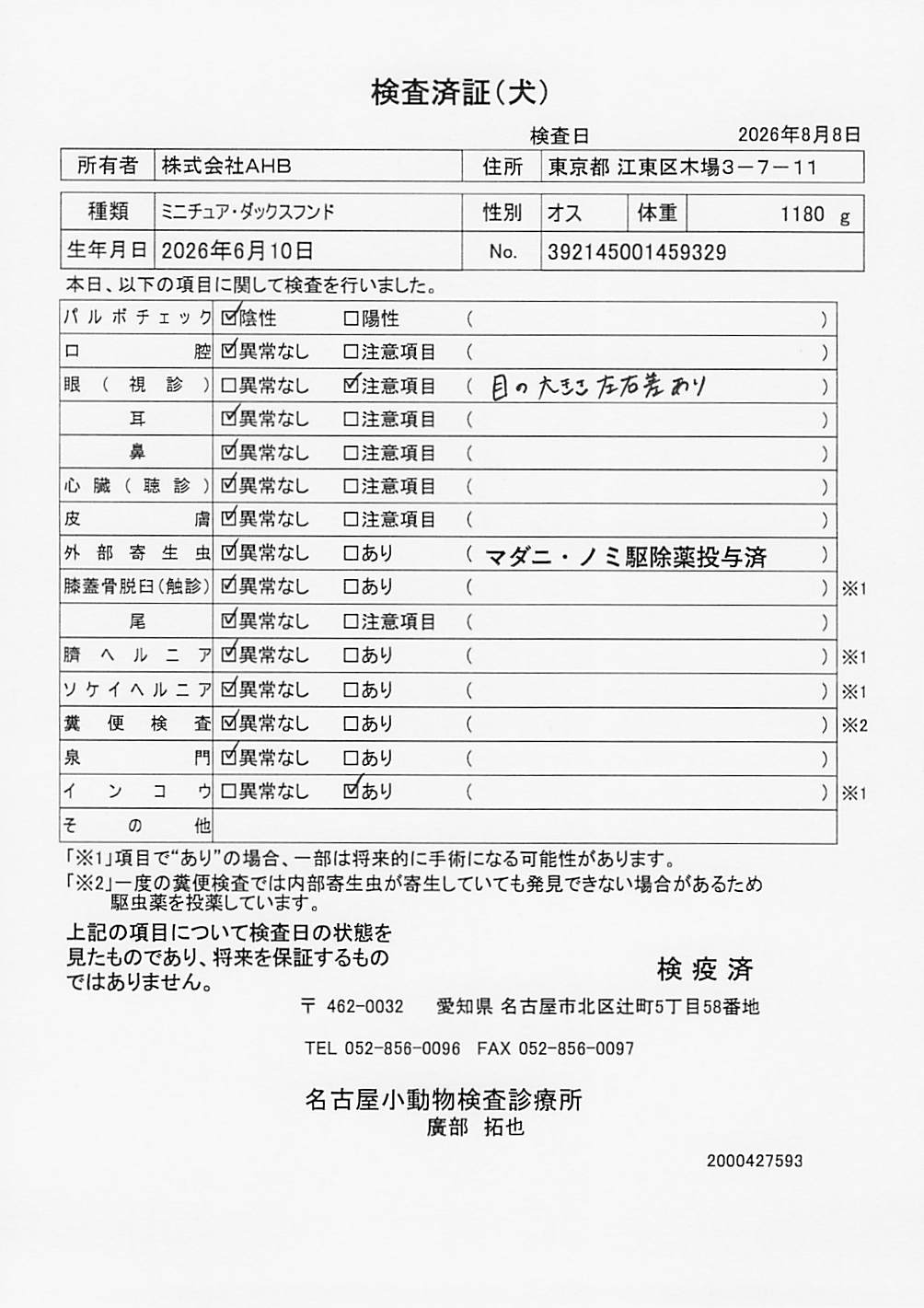 ミニチュア・ダックスフンド