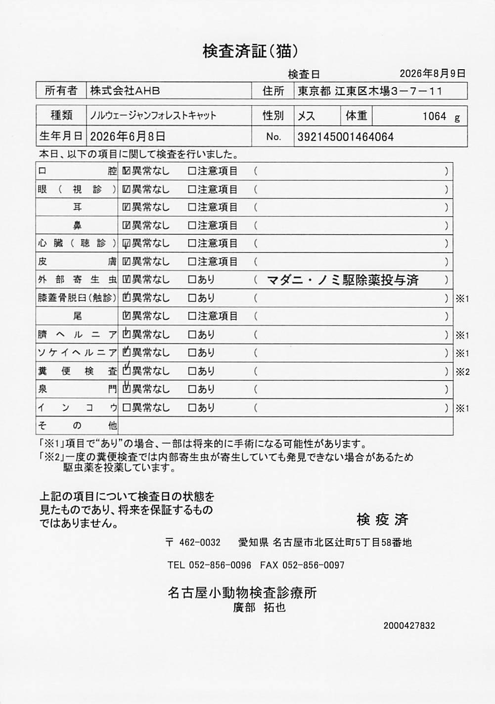 ノルウェージャンフォレストキャット