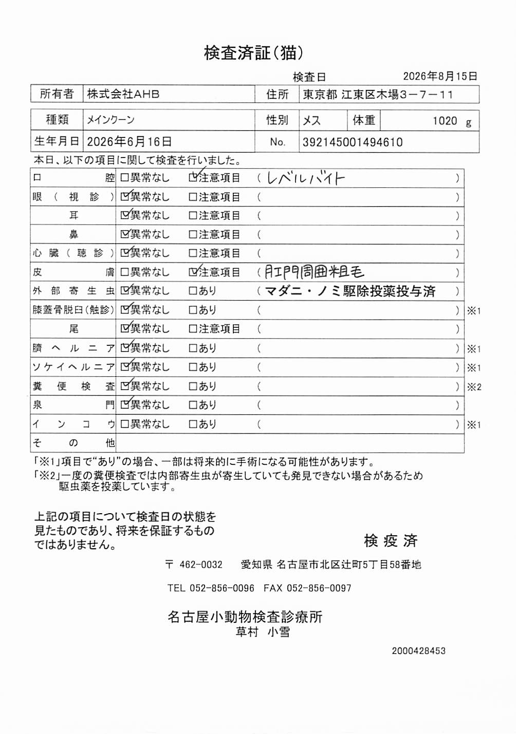 メインクーン