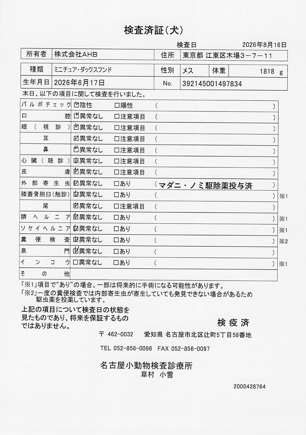 ミニチュア・ダックスフンド