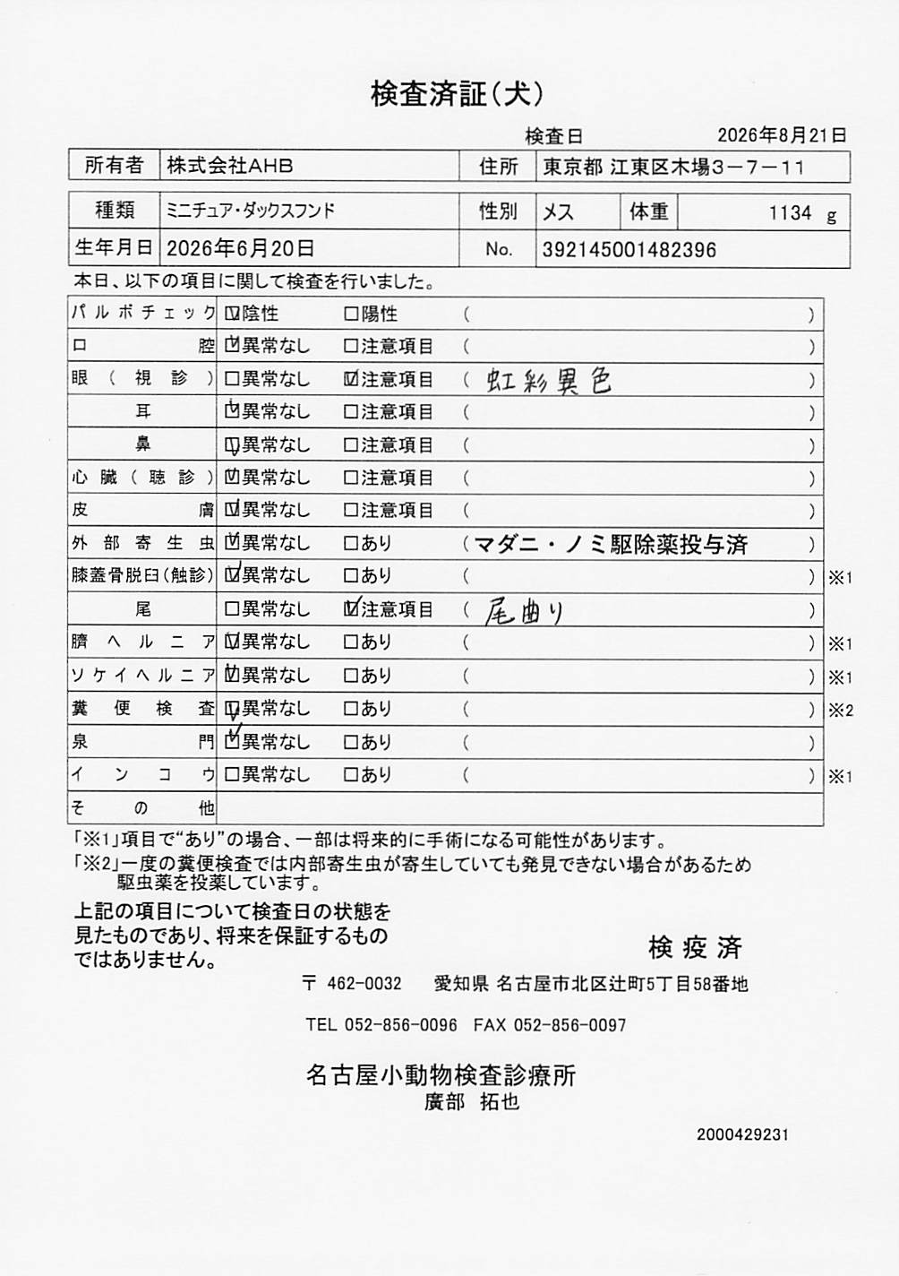 ミニチュア・ダックスフンド