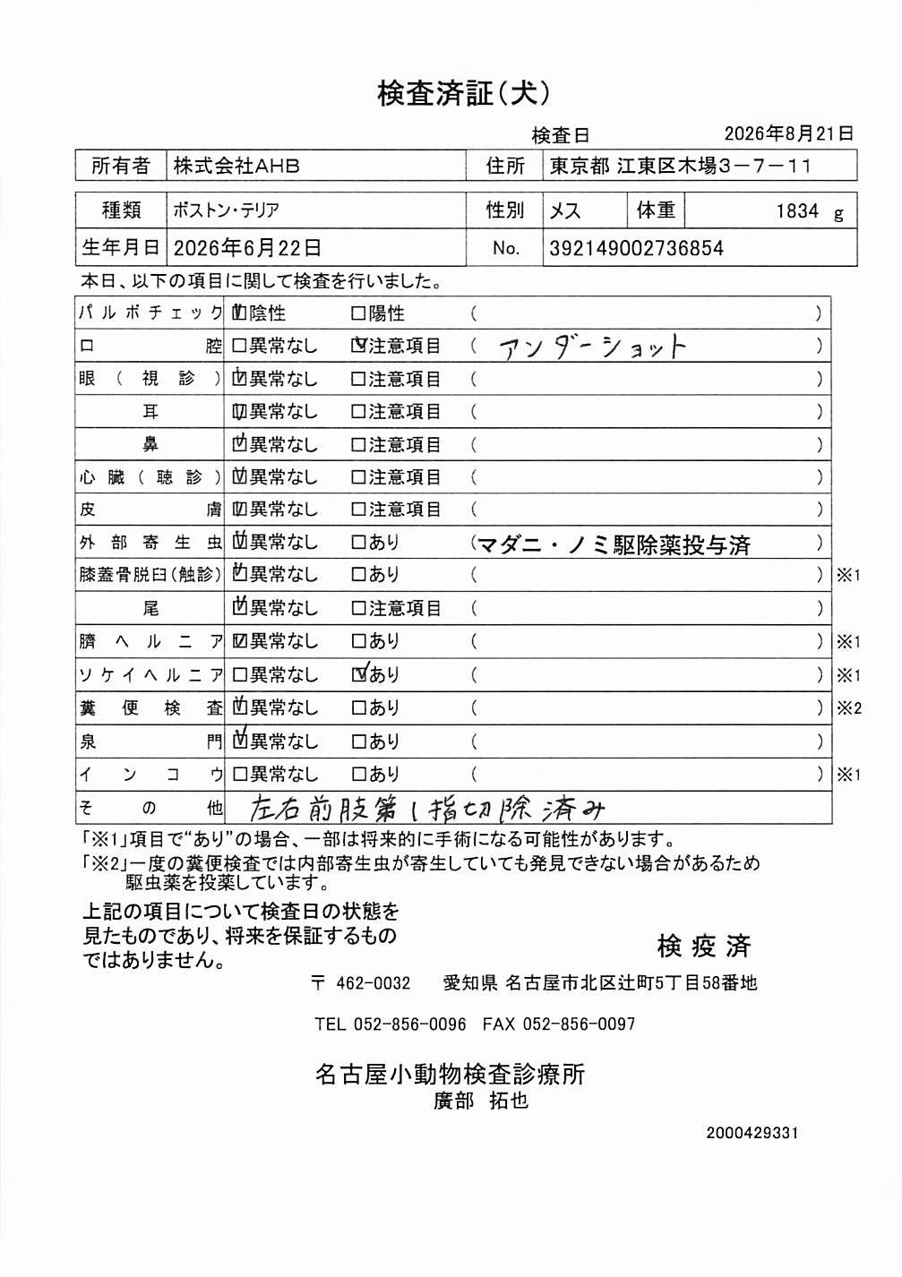 ボストン・テリア