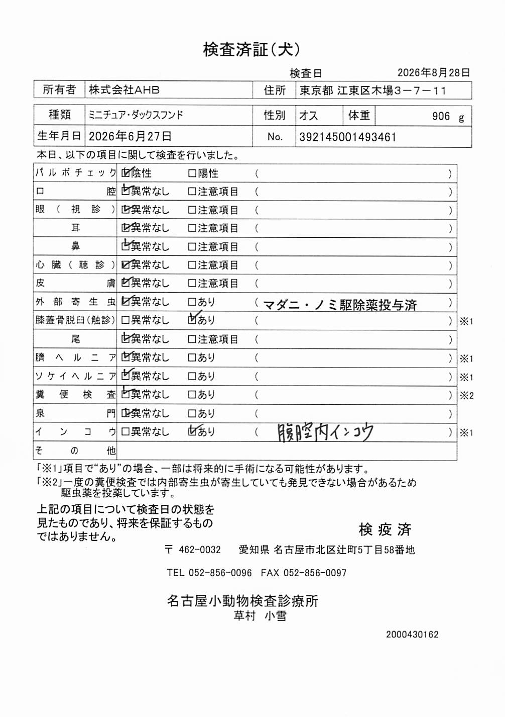 ミニチュア・ダックスフンド