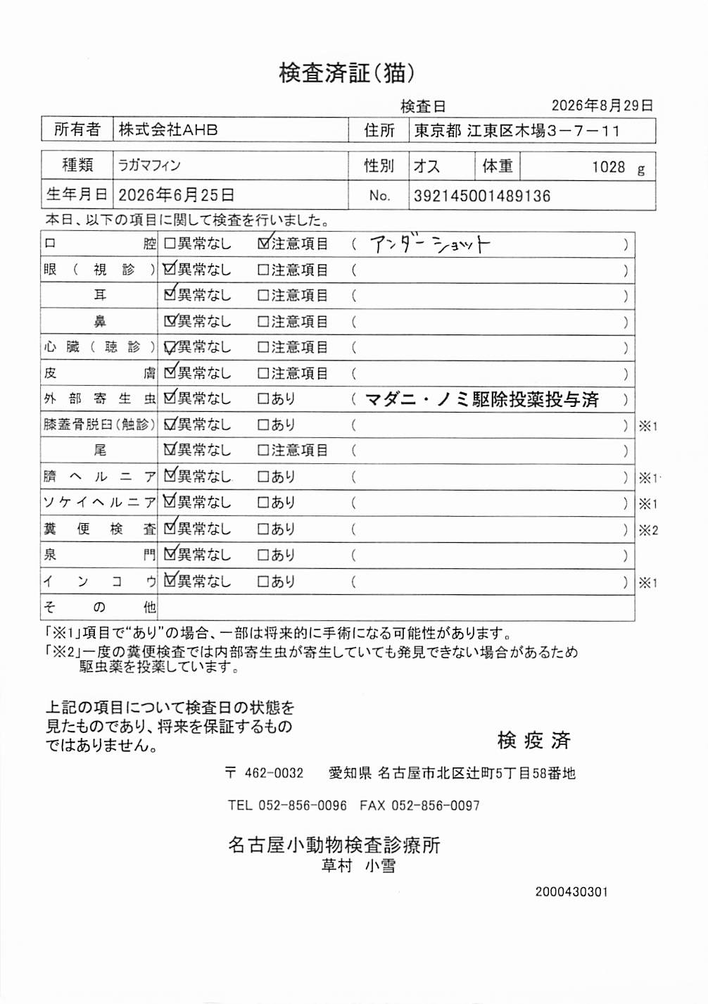 ラガマフィン