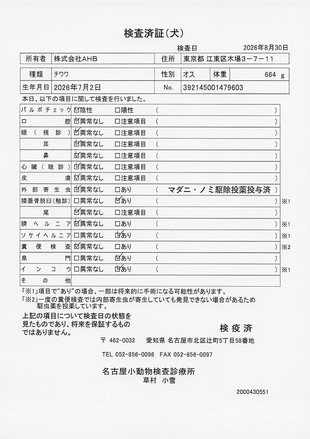 チワワ