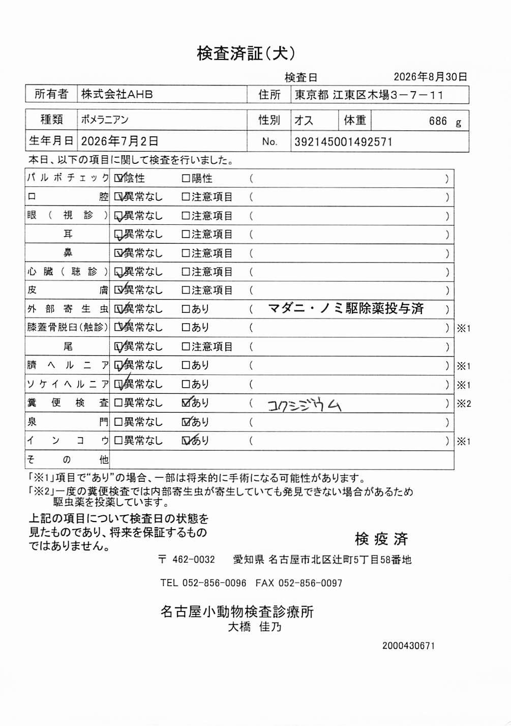 ポメラニアン