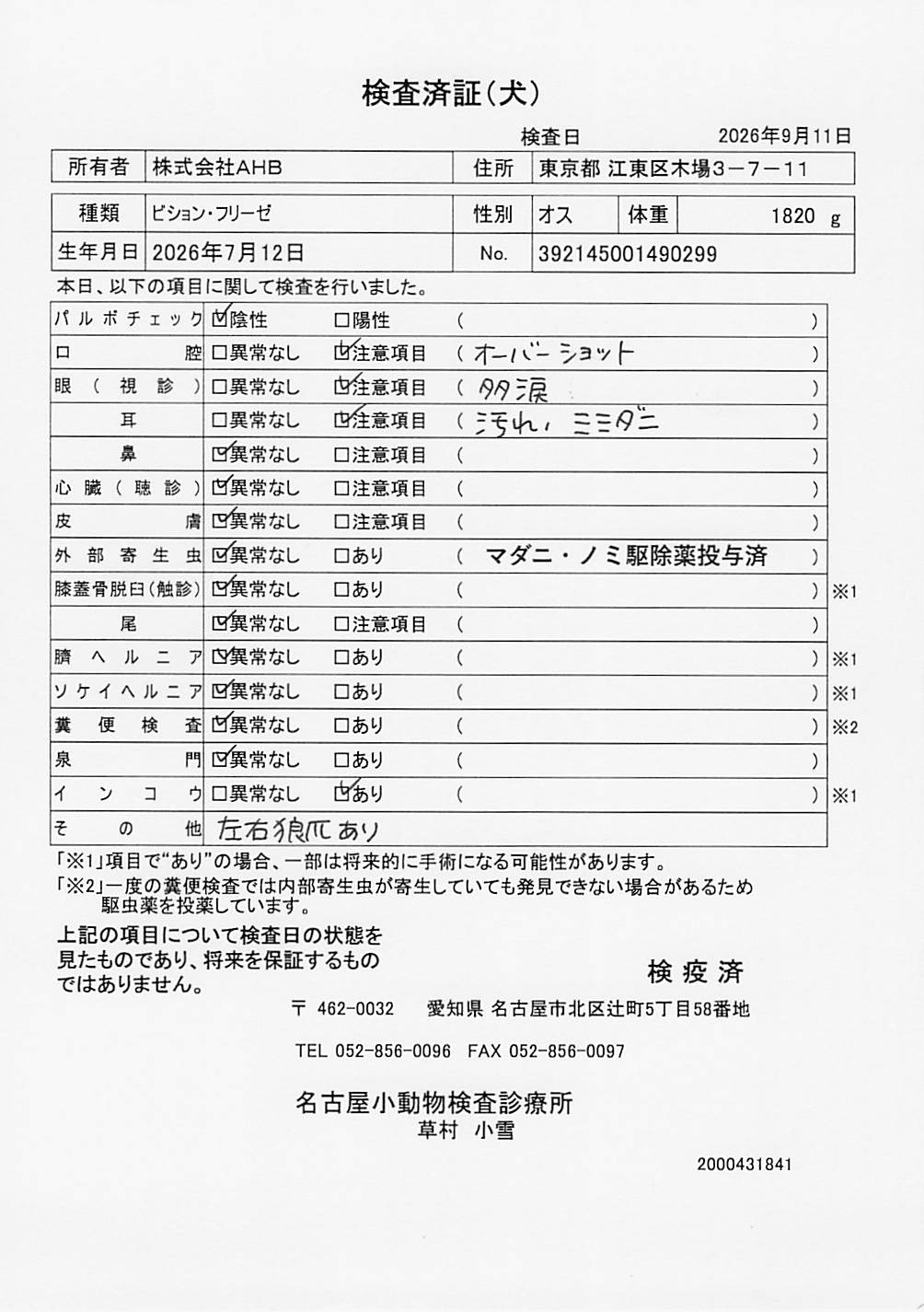 ビション・フリーゼ