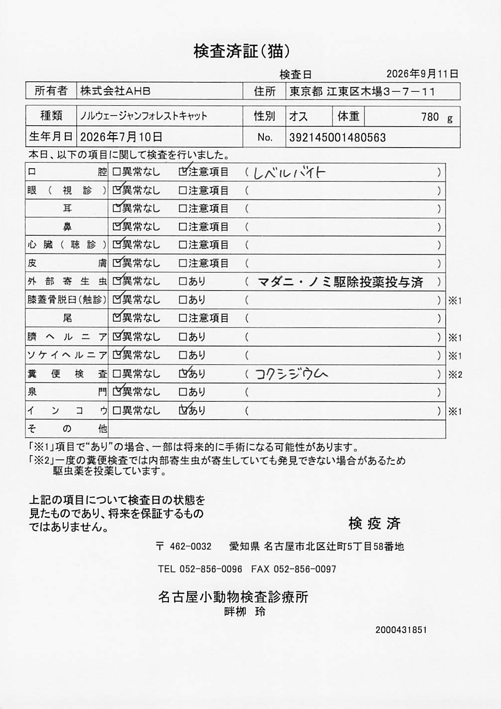 ノルウェージャンフォレストキャット
