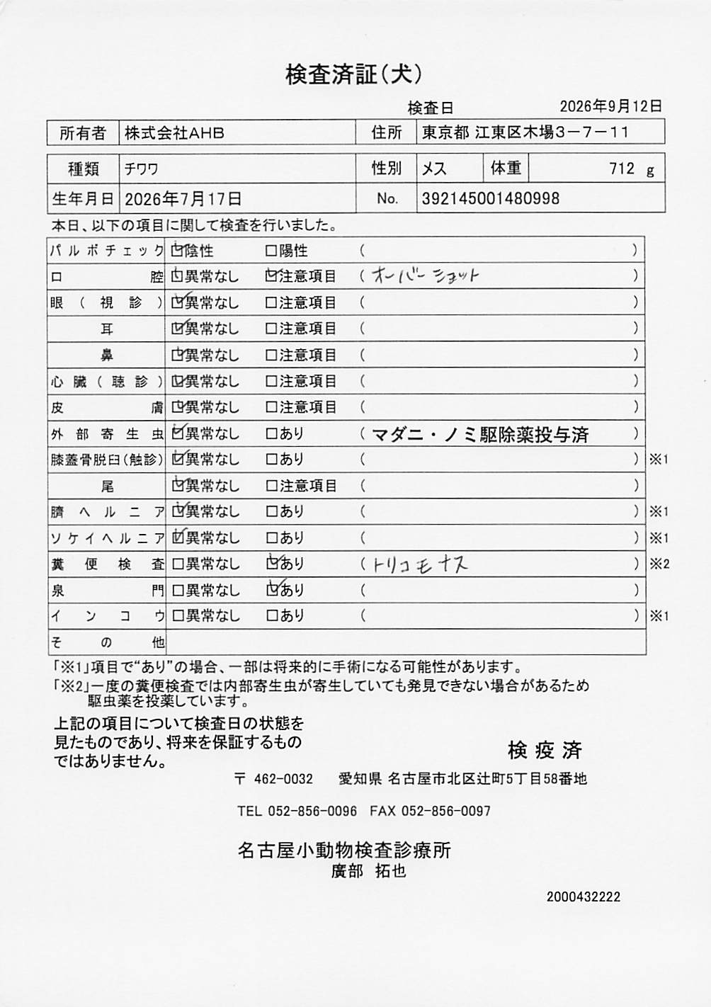 チワワ